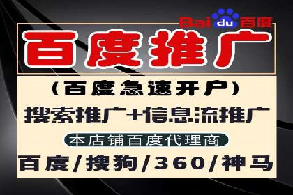 谷歌竞价广告的出价策略及某公司实践案例
